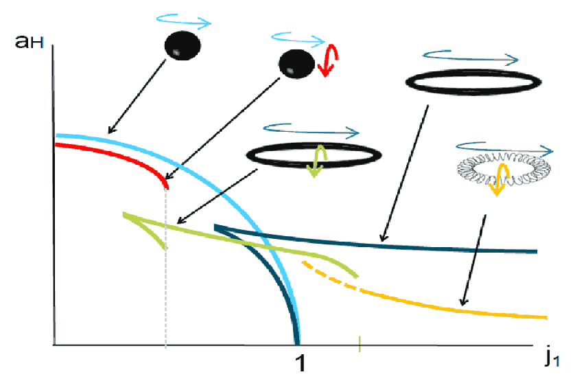 Phase diagram of various 5D single-horizon "black objects". For double rotation, the angular momentum is fixed at j2=0.1, and j1 is the coordinate value of the horizontal axis. Image from arXiv:1003.2411