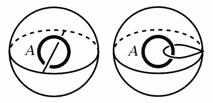 Deformation retract of the complement of a circle