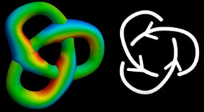 Four-dimensionalization of trefoil knot, note this is a knot made by a torus