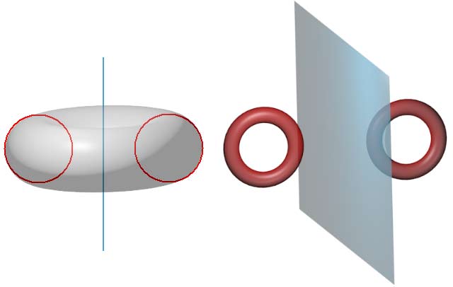 Torus ring (torus rotated around a plane parallel to the torus axis) corresponds to thickened torus surface